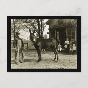 Milwaukee Mule and Farmer Vintage Postcard