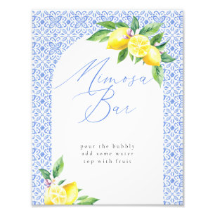 Mimosa Bar Lemon Italian Blue Tile Photo Print