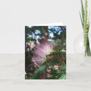 Mimosa Flower Note Card