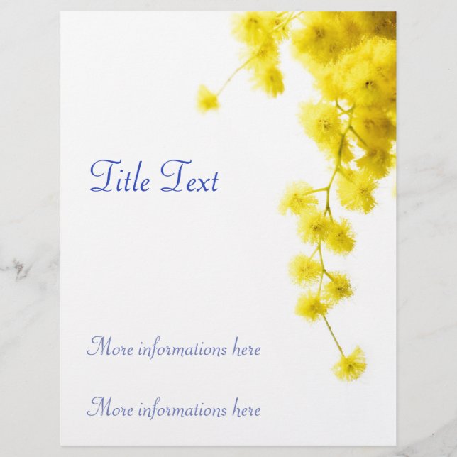 Mimosa Flyer (Front)