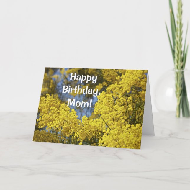 Mimosa In Bloom Happy Birthday Card (Front)