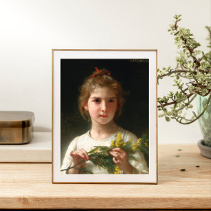 Mimosa  poster