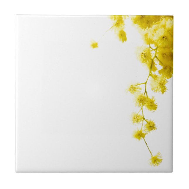 Mimosa Tile (Front)