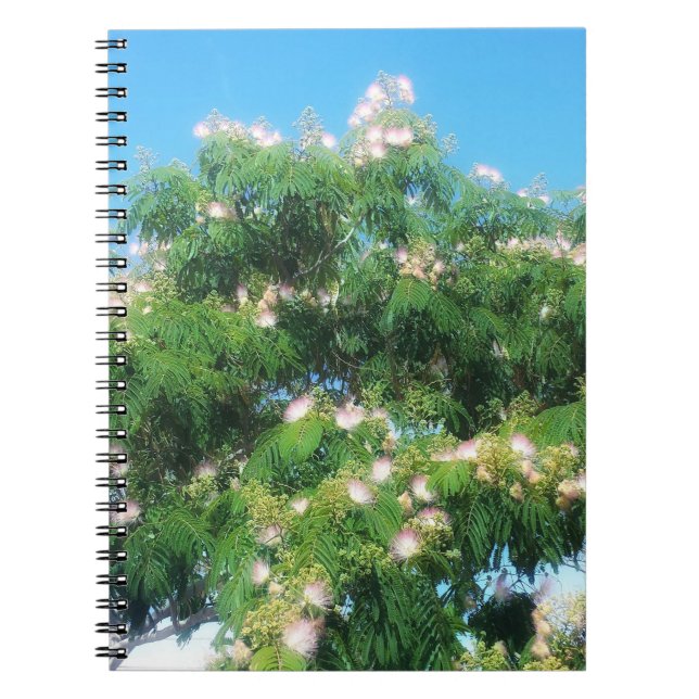 Mimosa Tree Notebook (Front)