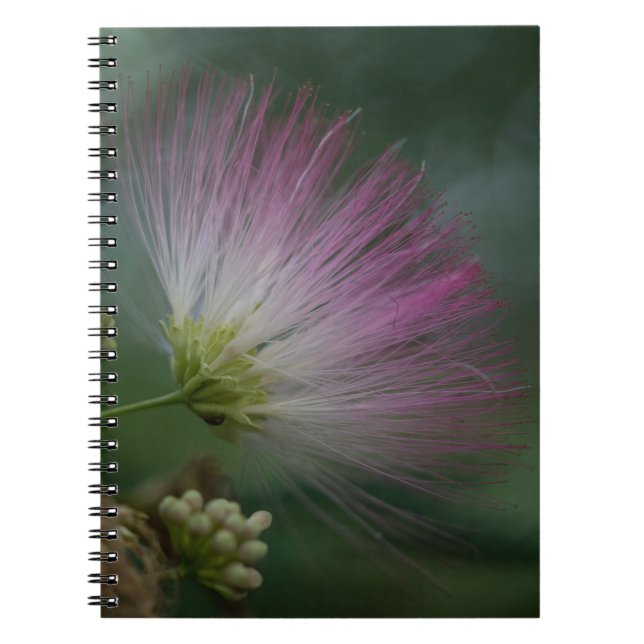Mimosa Tree Pink Wildflower Floral Notebook (Front)