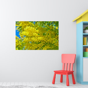 Mimosa Yellow Flower Floral Botanical Photography  Poster
