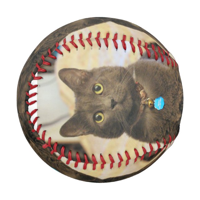 Mims Baseball (Front Left)