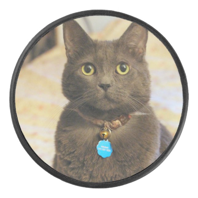 Mims    hockey puck (Front)