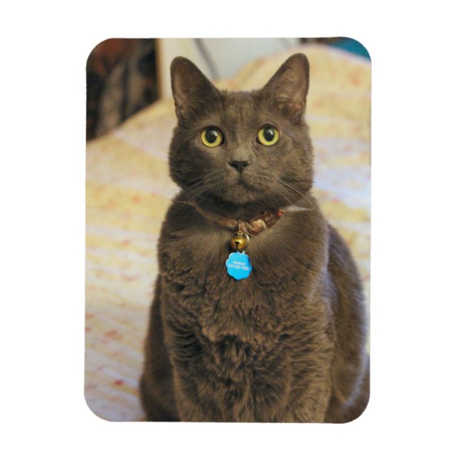 Mims   magnet (Vertical)