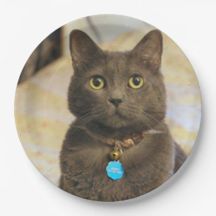 Mims paper plate