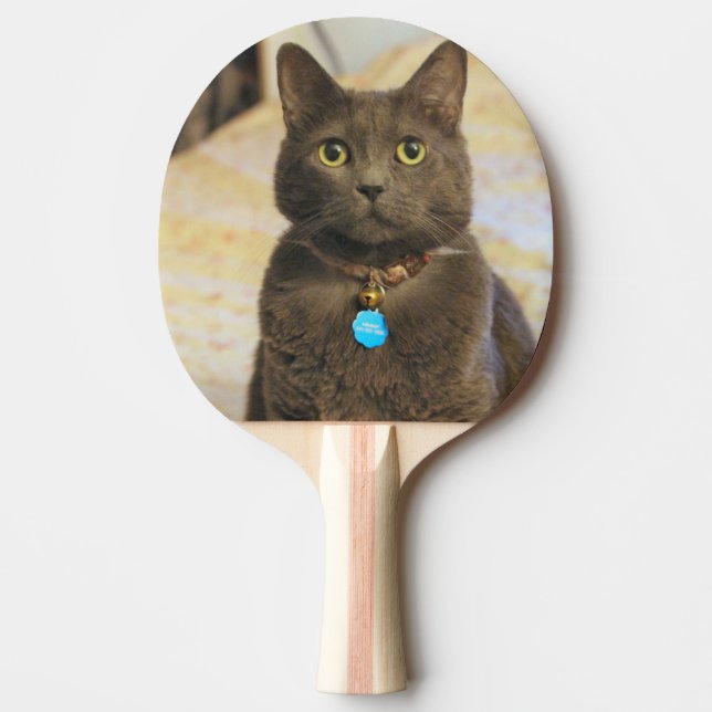Mims Ping Pong Paddle (Front)