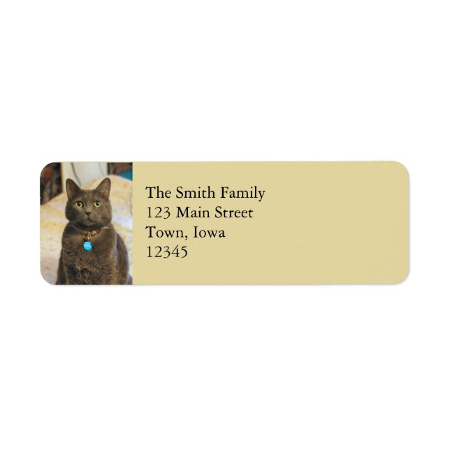 Mims Return Address Label (Front)