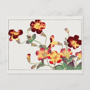Mimulus luteus by Tanigami Konan Postcard