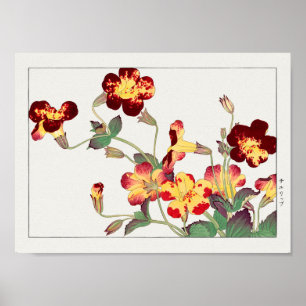 Mimulus luteus by Tanigami Konan Poster