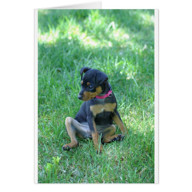 min pin (Front)