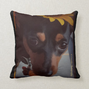 Min Pin and Sunflowers Cushion