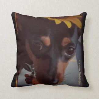 Min Pin and Sunflowers Cushion