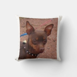 min pin chocolate and tan cushion