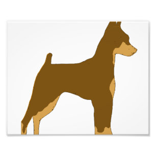 min pin chocolate and tan silo photo print