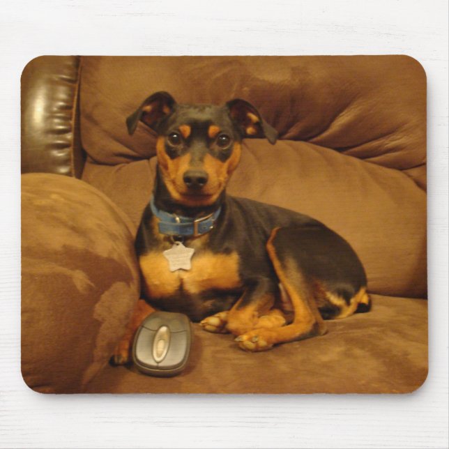 Min Pin Mouse Pad (Front)