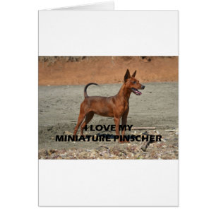 min pin red full love w pic