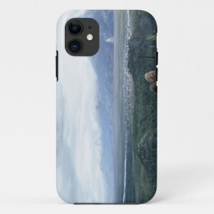 Minas Tirith in View iPhone 11 Case