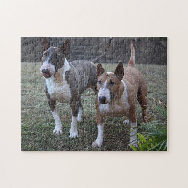 Minature Bull Terriers Jigsaw Puzzle (Horizontal)