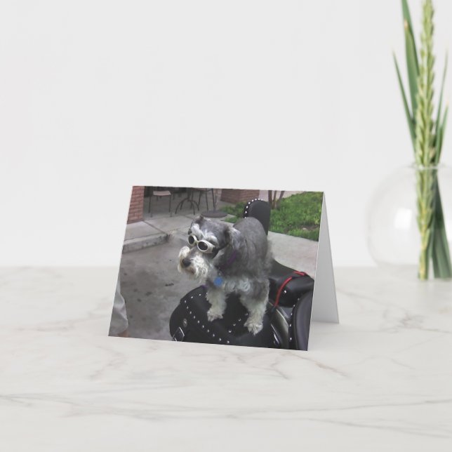Minature Schnauzer BIKER Card (Front)