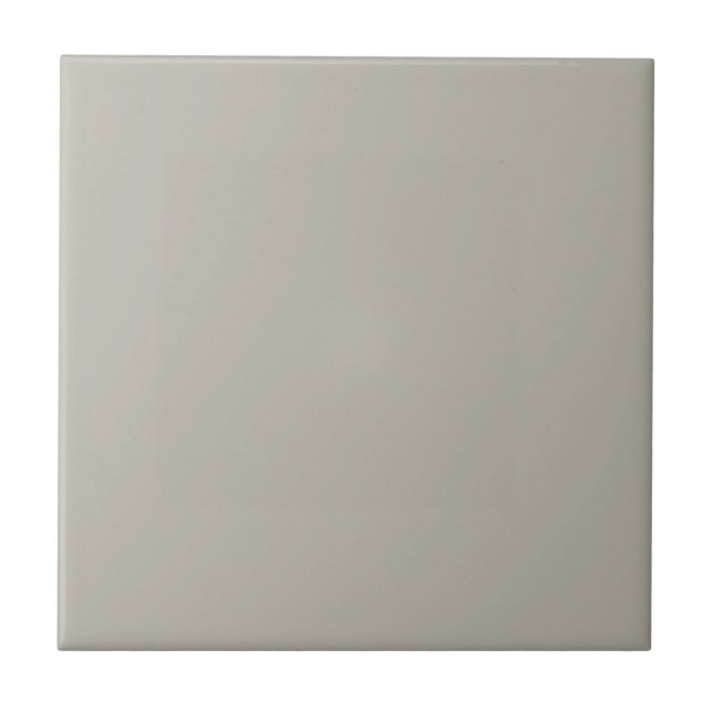 Mindfully Grey Square Kitchen and Bathroom Ceramic Tile (Front)