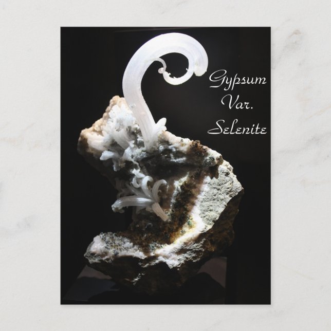 Minerals & Gems # 55 Postcard (Front)