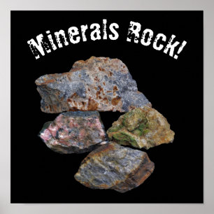Minerals Rock Collectors Funny Poster