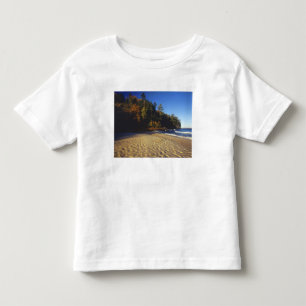 Miners Beach at Pictured Rocks National Toddler T-Shirt