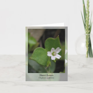 Miner's Lettuce - Native Notecard