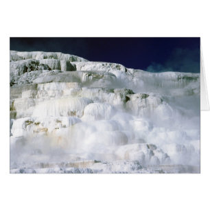 Minerva Terrace in Yellowstone National Park
