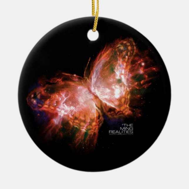 MING REALITIES BOOK ONE: MING BUTTERFLY ORNAMENT (Front)