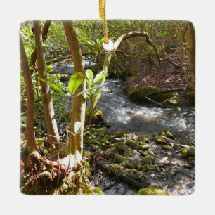 Mingus Creek at Smoky Mountains Ceramic Ornament