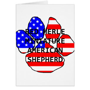 mini am shep name paw flag red merle