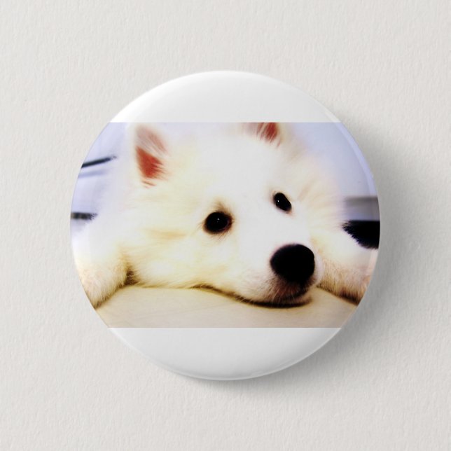 Mini American Eskimo 6 Cm Round Badge (Front)