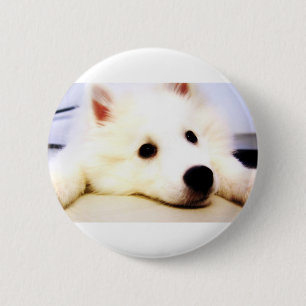 Mini American Eskimo 6 Cm Round Badge