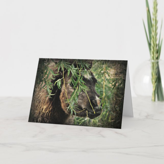 Mini Being Onery, Birthday Card (Front)