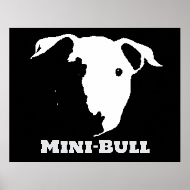 MINI BULL  POSTER (Front)