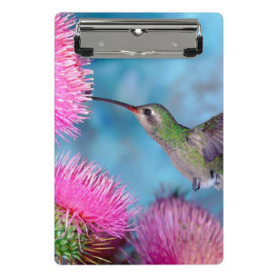 Mini Clipboard/Hummingbird Clipboard