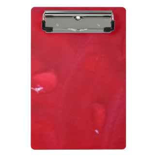 Mini Clipboard with Photo
