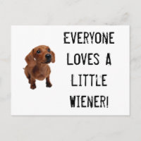 Mini Dachshund Little Wiener Postcard