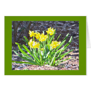 mini-Daffodils card