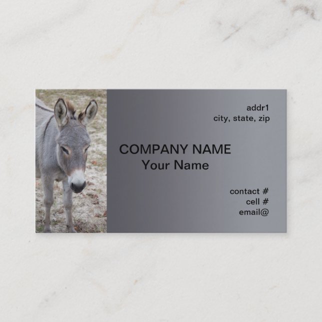 mini donkey business card (Front)