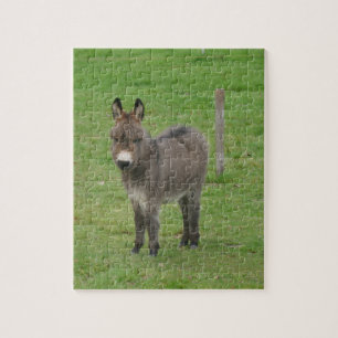 Mini donkey in a paddock. jigsaw puzzle