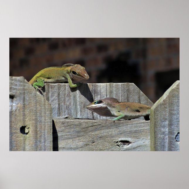 Mini Dragon Battle Poster (Front)