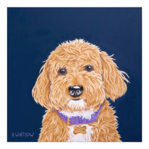 Mini Golden Doodle Photo Print