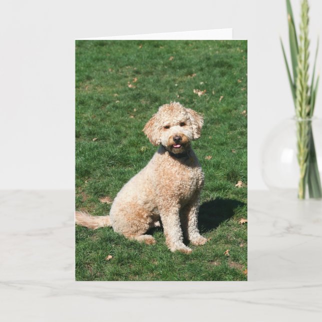 Mini Goldendoodle puppy greeting card (Front)